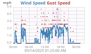wind