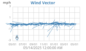 Wind Vector